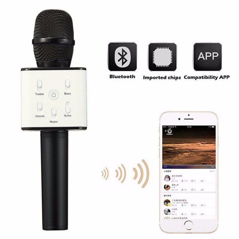 q5 karaoke microphone and speaker