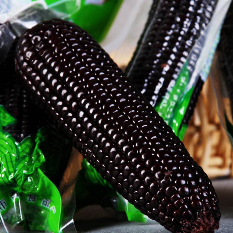 100pcs Sweet Rainbow Black White Yellow Indian Corn Seeds Organic Glass