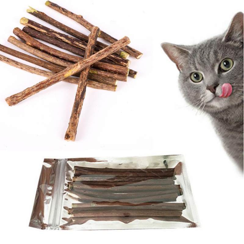 cat snack toy