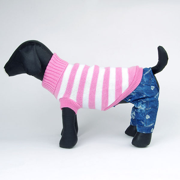 Best Dachshund Coats For Dachshunds Redhound For Dogs Green Waxed Dachshund Coat