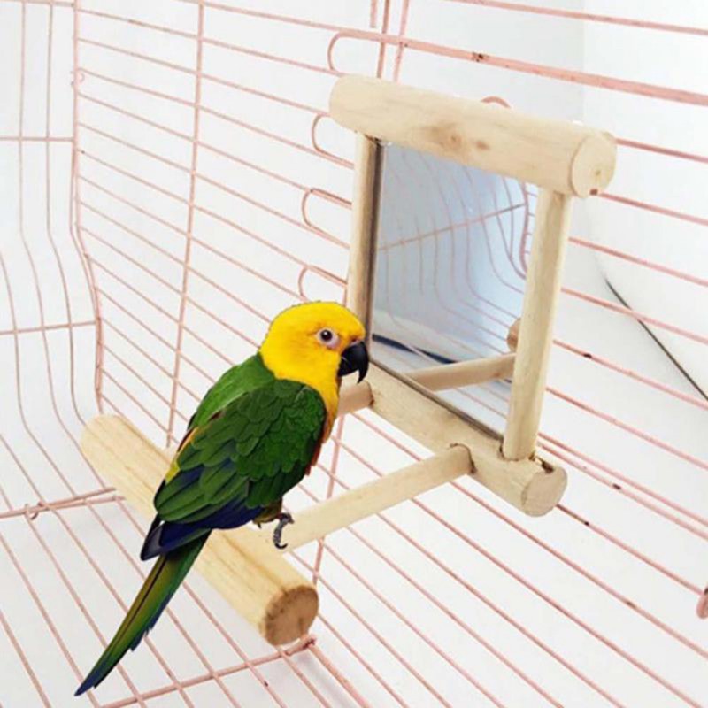 Bird Cage Mirror With Perch Cagesbird
