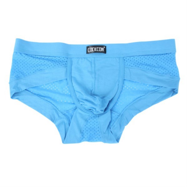 Stylish Mens Spandex Briefs Shorts Boxers Mesh Bulge Pouch Underwear ...