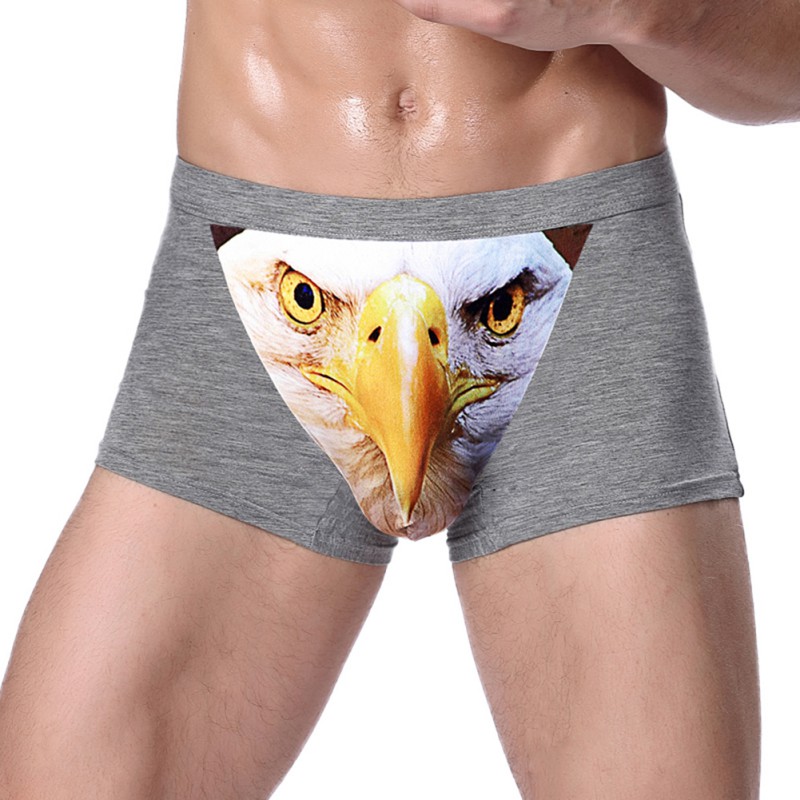 Abs Underwear