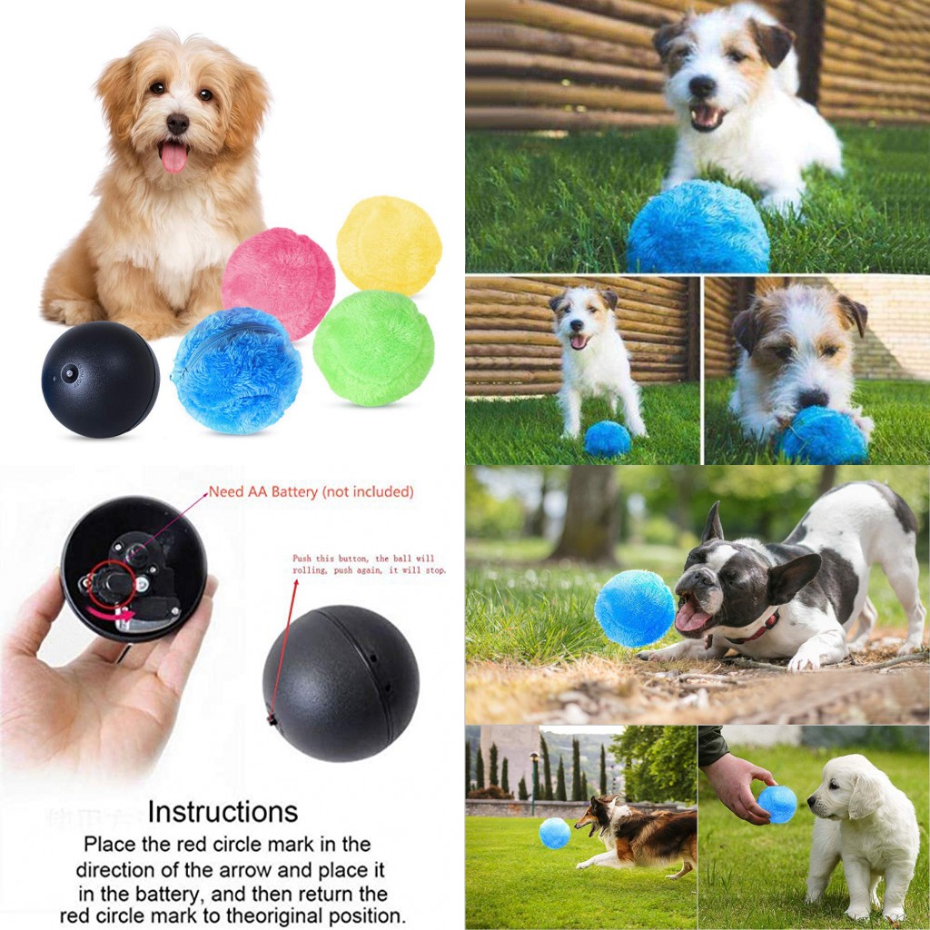 active rolling ball dogs