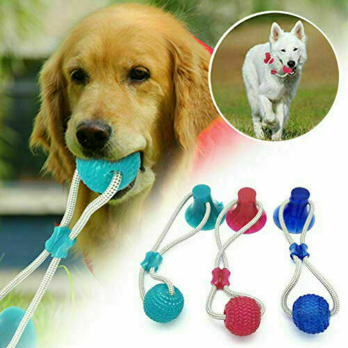 dog suction ball