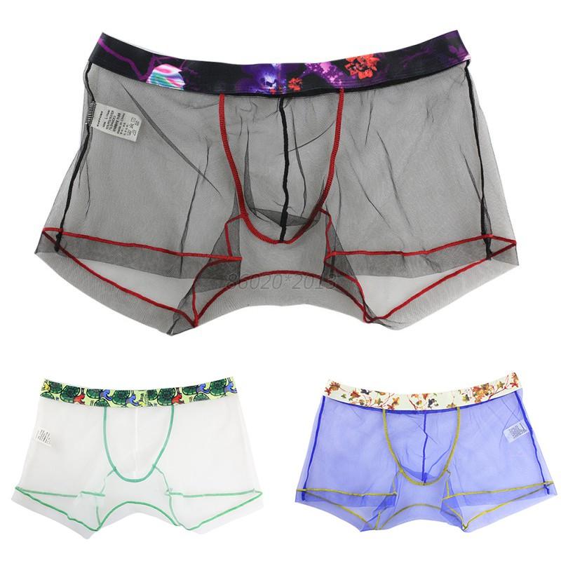 UK MEN Mesh Transparent Sexy Thin Soft Underpants Shorts Boxer Briefs ...